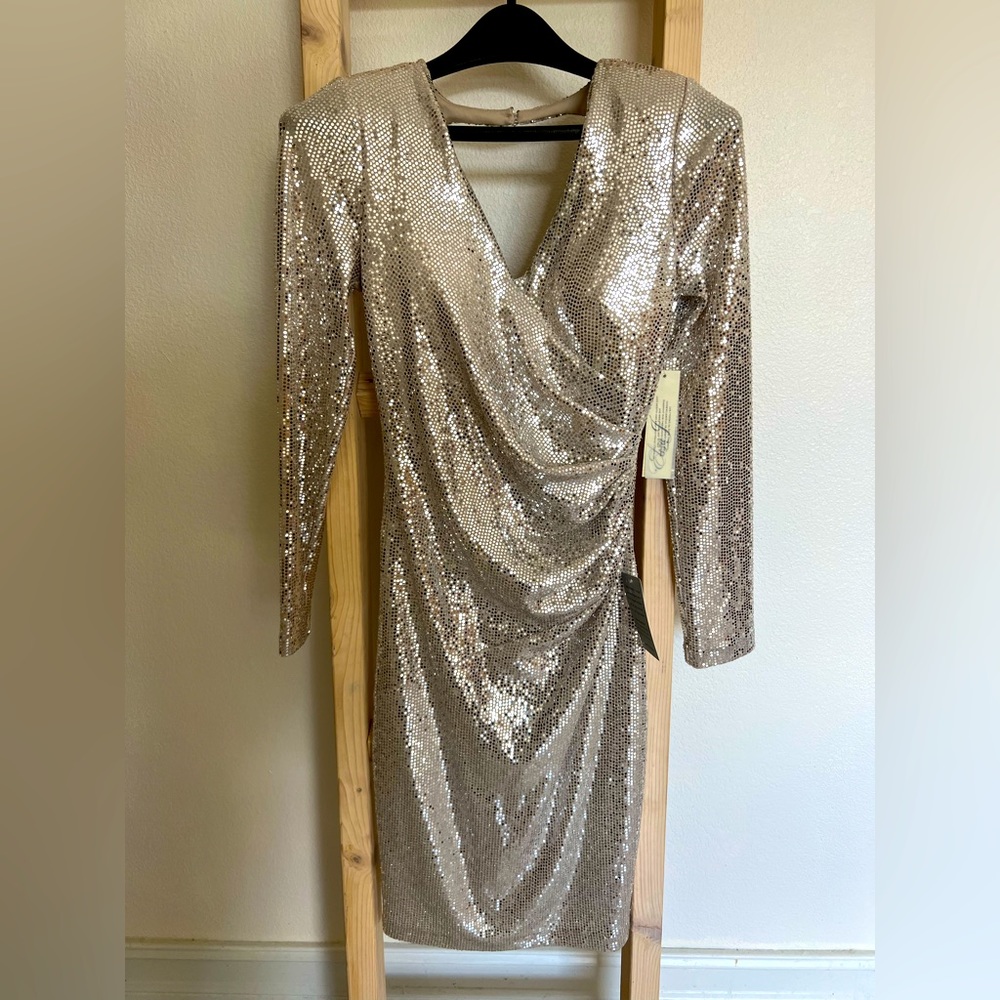 Shiny Dress
